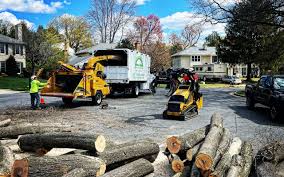 Lawrenceville, NJ Tree Removal Services Company